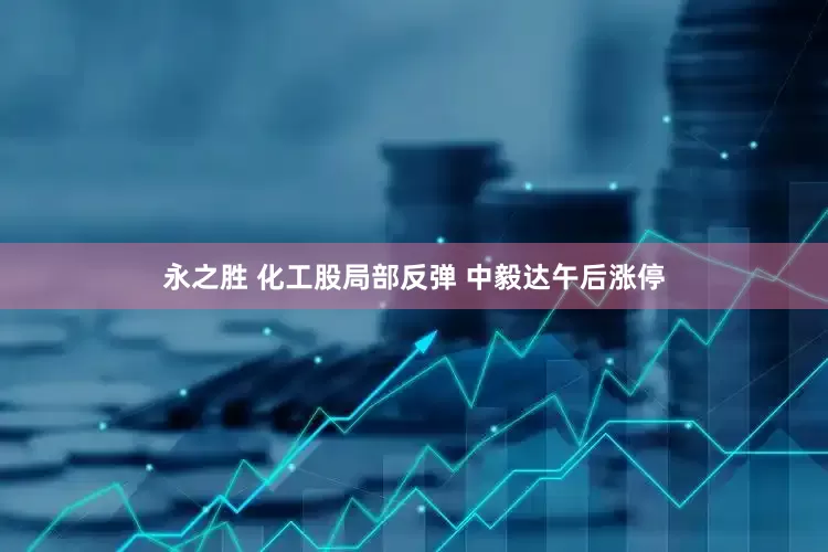 永之胜 化工股局部反弹 中毅达午后涨停