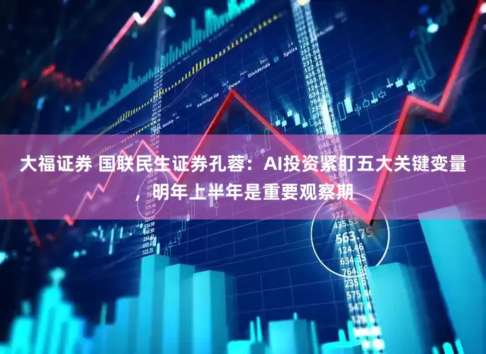大福证券 国联民生证券孔蓉：AI投资紧盯五大关键变量，明年上半年是重要观察期